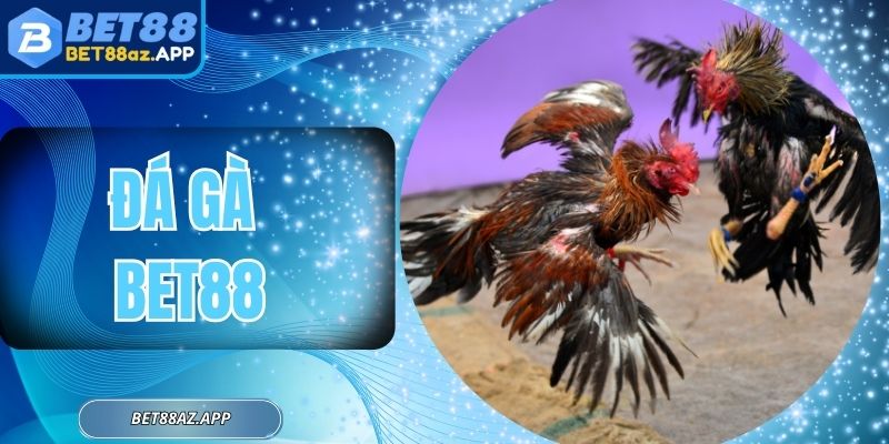 Đá Gà Bet88 - Trực Tiếp Các Trận Đấu Hấp Dẫn Nhất 2025 Đá Gà Bet88 - Trực Tiếp Các Trận Đấu Hấp Dẫn Nhất 2025