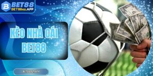 Kèo Nhà Cái BET88 - Lựa Chọn Cược Xanh Chín Hấp Dẫn