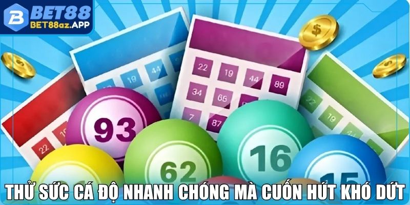 Mega 6/45 Bet88 - Cơ Hội Săn Giải Khủng Với Một Lần Đánh Thử sức cá độ nhanh chóng mà cuốn hút khó dứt